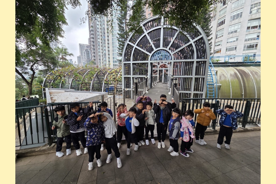 WhatsApp Image 2026-02-02 at 13.50.00