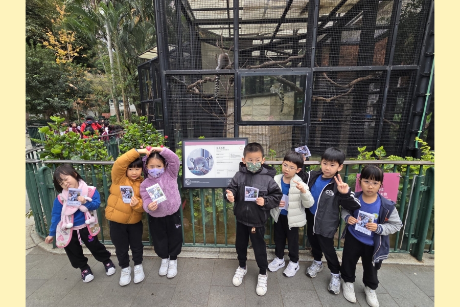 WhatsApp Image 2026-02-02 at 13.50.11 (3)