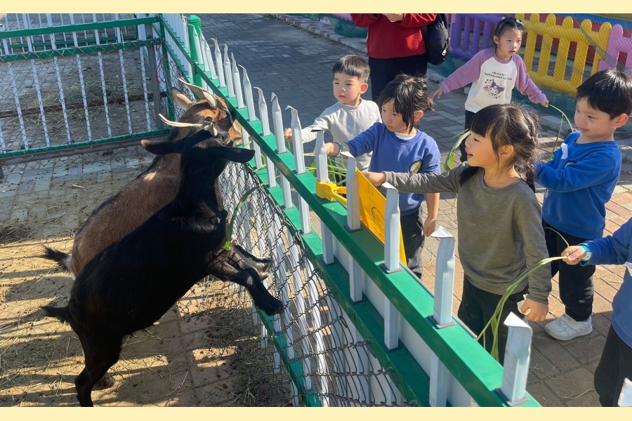 WhatsApp Image 2025-12-17 at 5.55.38 AM