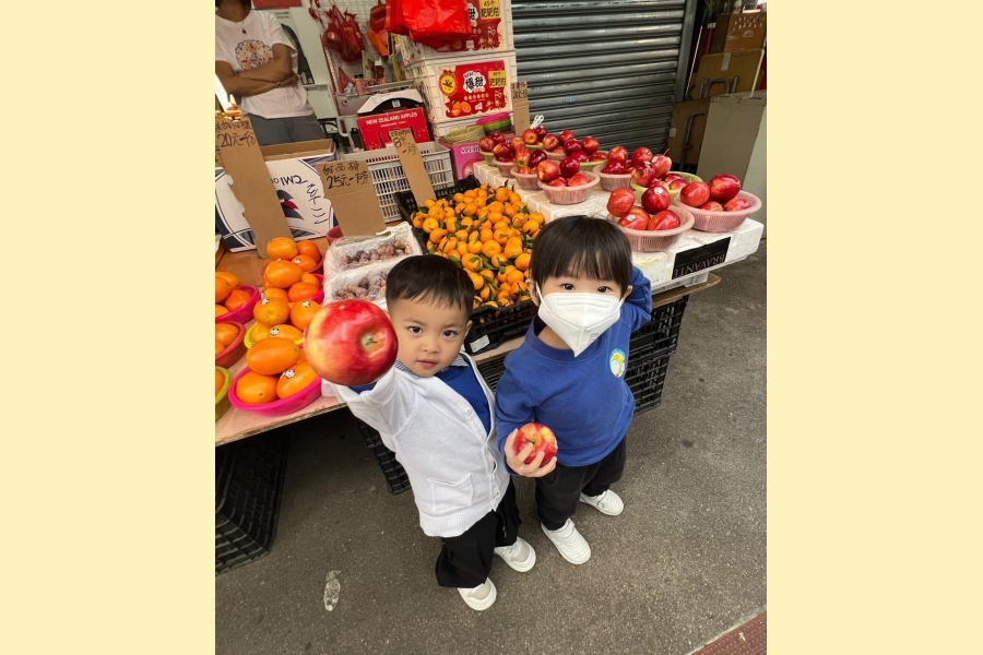 WhatsApp Image 2025-11-08 at 8.09.03 AM (1)